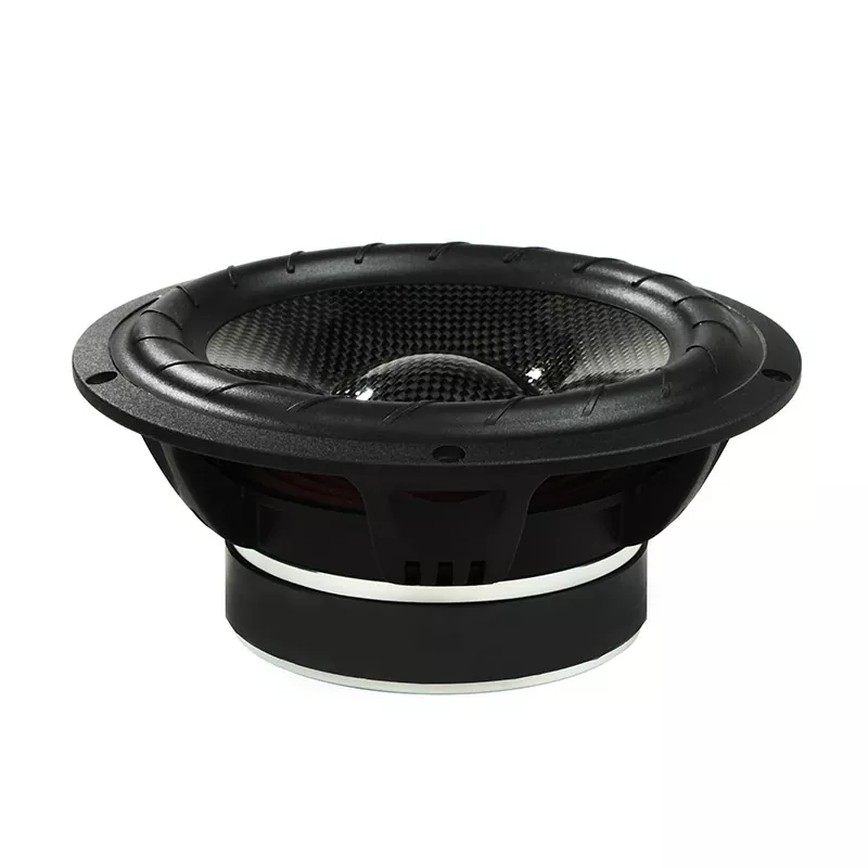 Loa Ô Tô Sợi Carbon 2 Chiều