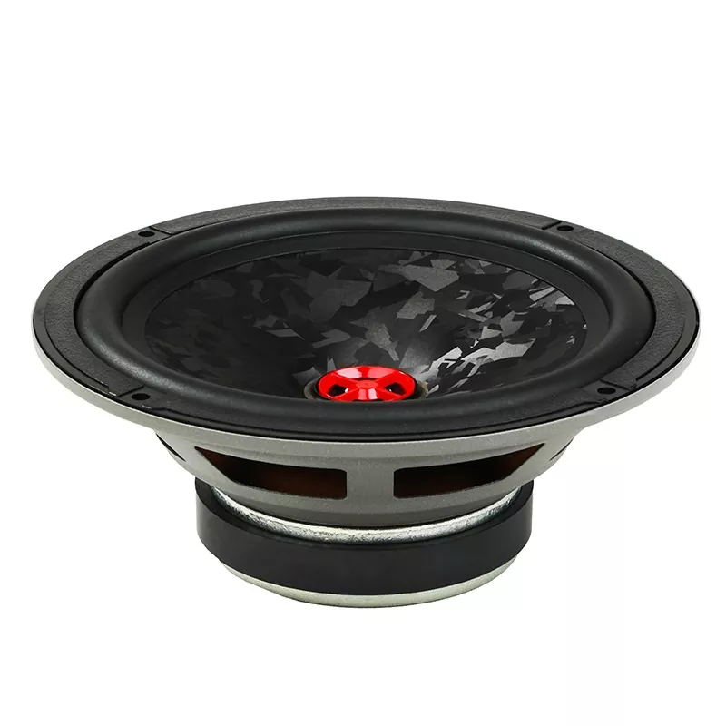 Loa ô tô PP 6,5 inch