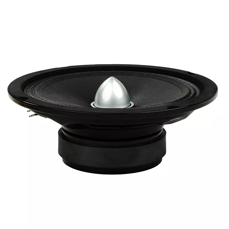 Loa ô tô ép giấy 8 inch